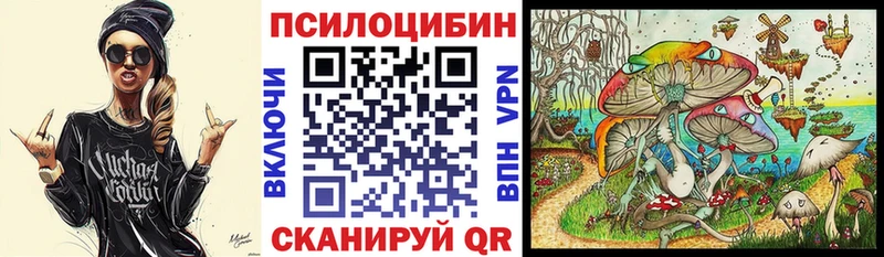 Псилоцибиновые грибы Cubensis  где можно купить   Бодайбо 