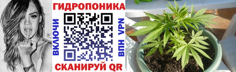 Каннабис гибрид  Бодайбо 